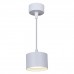 Подвесной светильник Reluce 53006-0.9-001LD GX53 WT