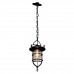 Подвесной светильник Loft IT Warehouse Loft1141