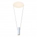Подвесной светодиодный светильник iLedex Oxygen ZD8213S-12W SWH