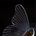 Подвесной светодиодный светильник Arte Lamp Darcy A2187SP-2GO