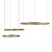 Подвесной светодиодный светильник Loft IT Ring 10017/3L