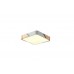 Потолочный светильник Zortes ALBERRO ZRS.01285.36