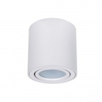Потолочный светильник Arte Lamp Beid A1513PL-1WH