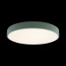 Потолочный светодиодный светильник Loft IT Axel 10002/24 green