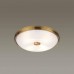 Потолочный светильник Odeon Light Walli Pelow 4956/4