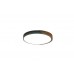 Потолочный светильник Zortes ALBERRO ZRS.01237.90