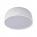Потолочный светодиодный светильник Loft IT Axel 10201/350 White
