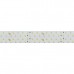 Светодиодная лента Arlight 30W/m 280LED/m 2835SMD теплый белый 2,5M 025161(1)