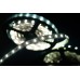Светодиодная лента SWG 20W/m 60LED/m 5630SMD холодный белый 5M 900534
