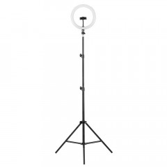 Торшер Camelion KD-810F C02 13010